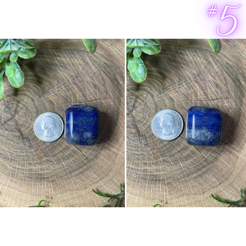 Lapis Lazuli tumbled crystal #5