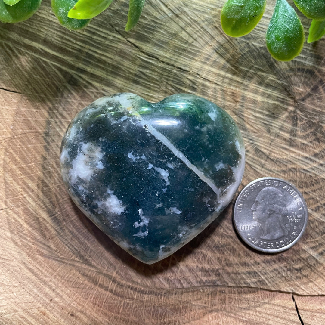 tree Agate Heart with quarter