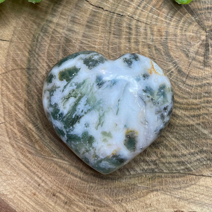 Tree Agate Heart